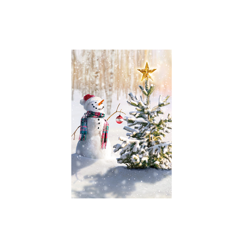 CARTE VOEUX NOEL BSB NATURE CARD