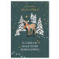 CARTE VOEUX NOEL BSB