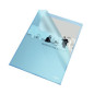 CHEMISE PLAST. A4 TRANSP. ESSELTE GRAINEE BLEU 105µ
