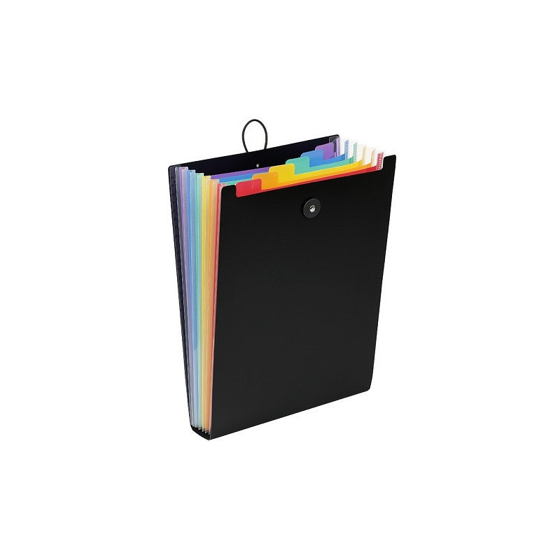 TRIEUR ACCORDEON VIQUEL A4 6 COMP. NOIR