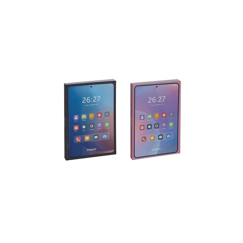 AGENDA SCOLAIRE BREPOLS 11,5X16,9CM 1J./P. SMART