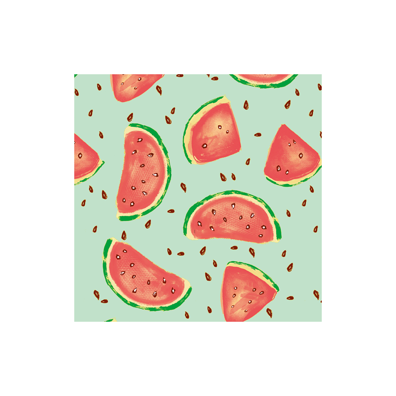 PAPIER CADEAU BSB WATERMELON