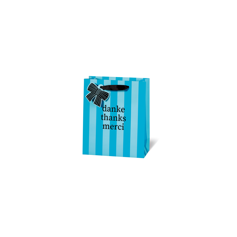 SACHET BSB 23X19X9CM THANKS