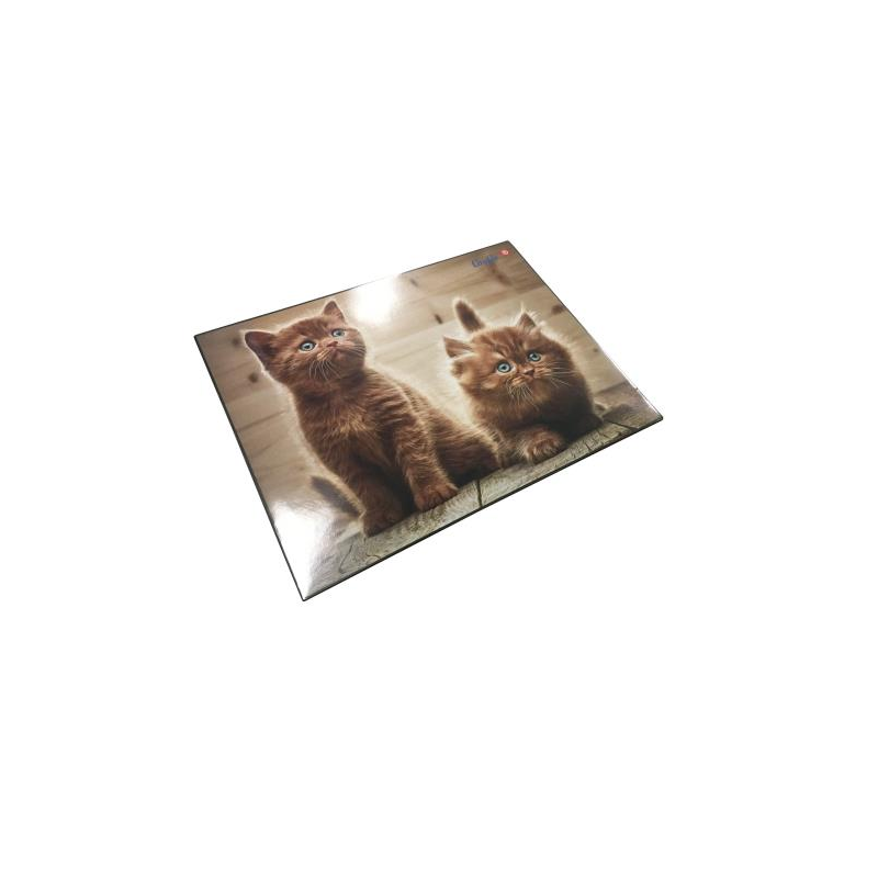 SOUS-M. ENF. LAUFER 40X53CM CHATS