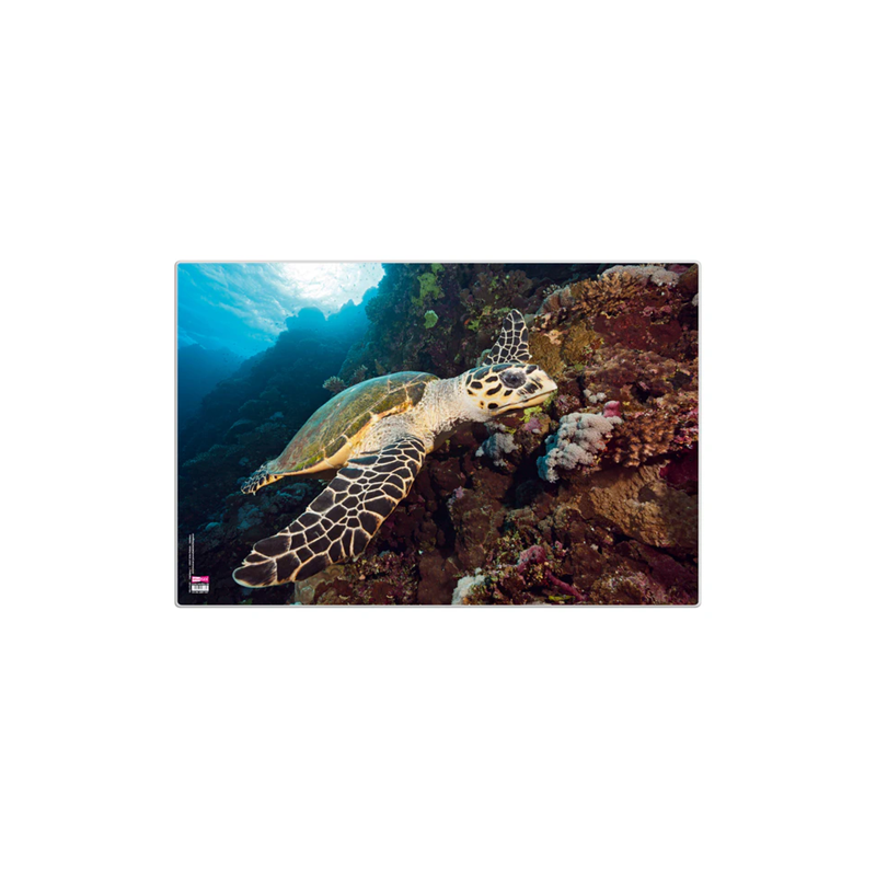 SOUS-M. ENF. VELOFLEX 40X60CM TORTUE