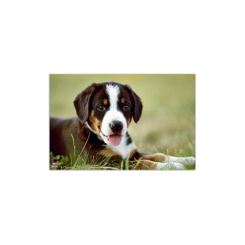 SOUS-M. ENF. VELOFLEX 40X60CM CHIEN