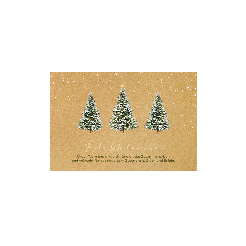 CARTE VOEUX NOEL BSB