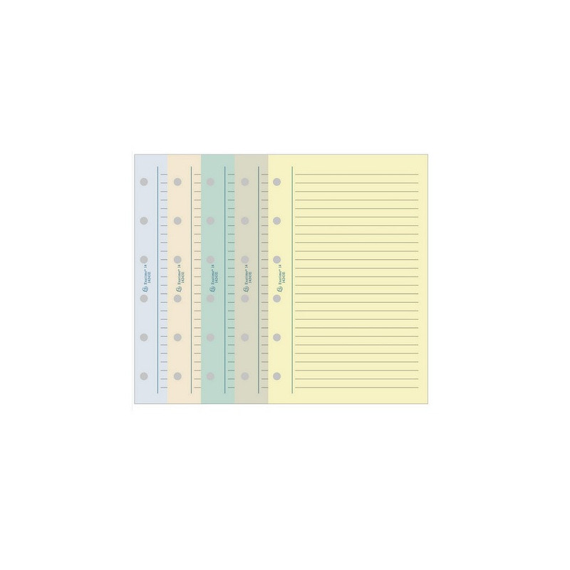 RECHARGE AGENDA EXACOMPTA EXATIME 17 NOTES LIGNES COUL.