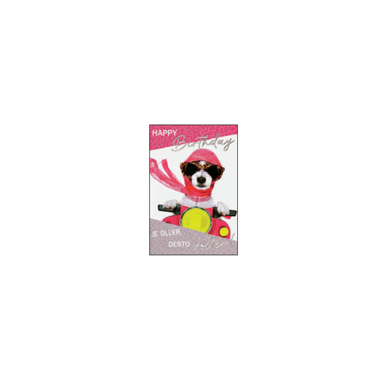 CARTE VOEUX BSB HAPPY BIRTHDAY
