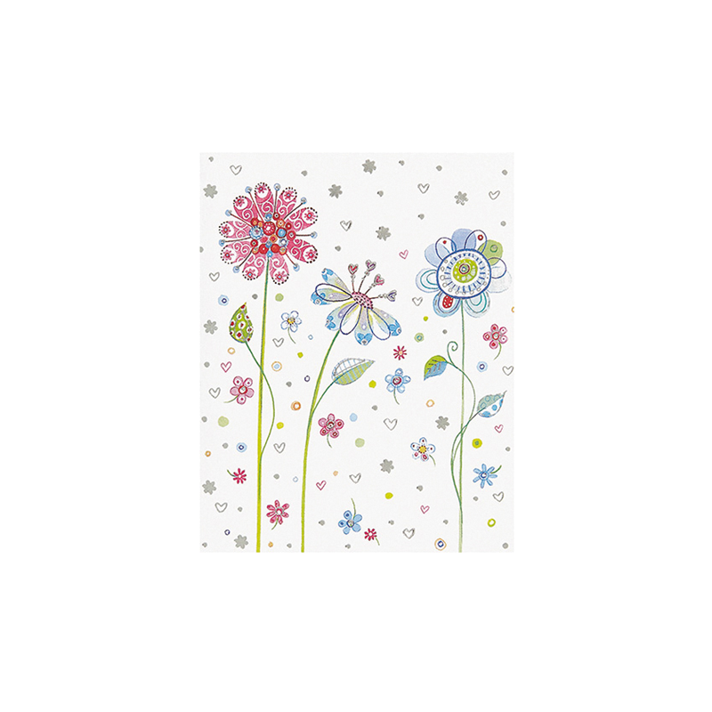 CARTE VOEUX BSB MINI SANS TEXTE
