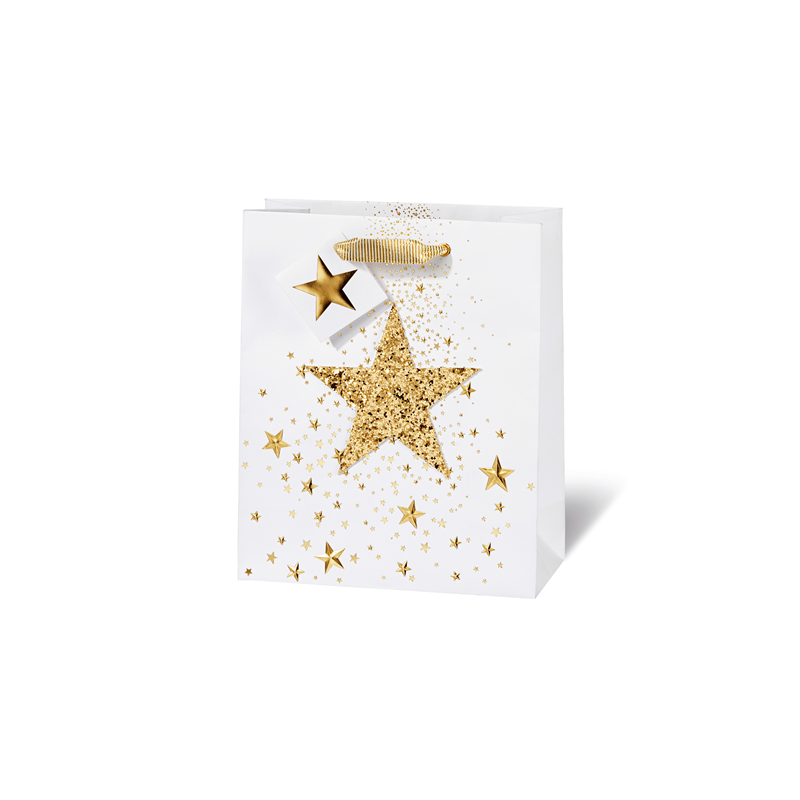 SACHET NOEL BSB 23X19X9CM GLITTER STAR