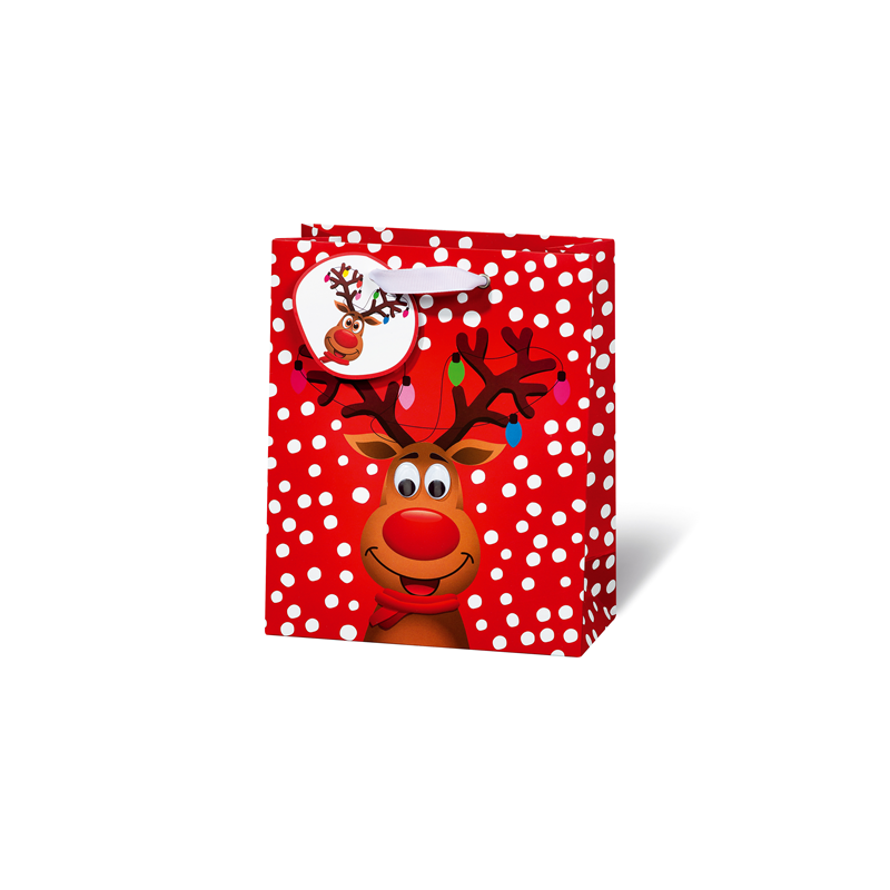 SACHET NOEL BSB 23X19X9CM FUNNY CHRISTMAS