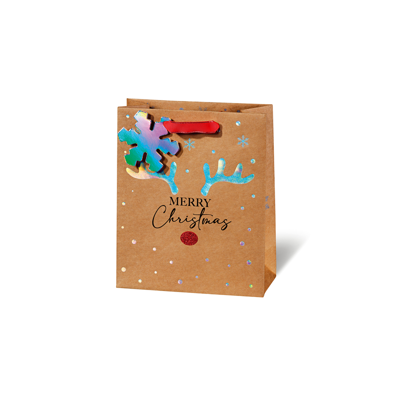 SACHET NOEL BSB 23X19X9CM RED NOSE