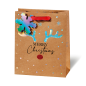 SACHET NOEL BSB 23X19X9CM RED NOSE