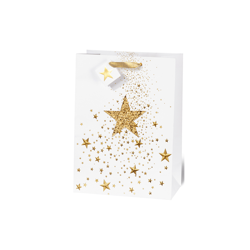 SACHET NOEL BSB 36X26X14CM GLITTER STAR