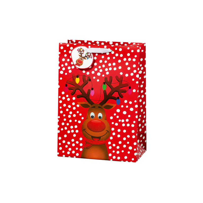 SACHET NOEL BSB 36X26X14CM FUNNY CHRISTMAS