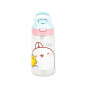 GOURDE VIQUEL 520ML AQUA