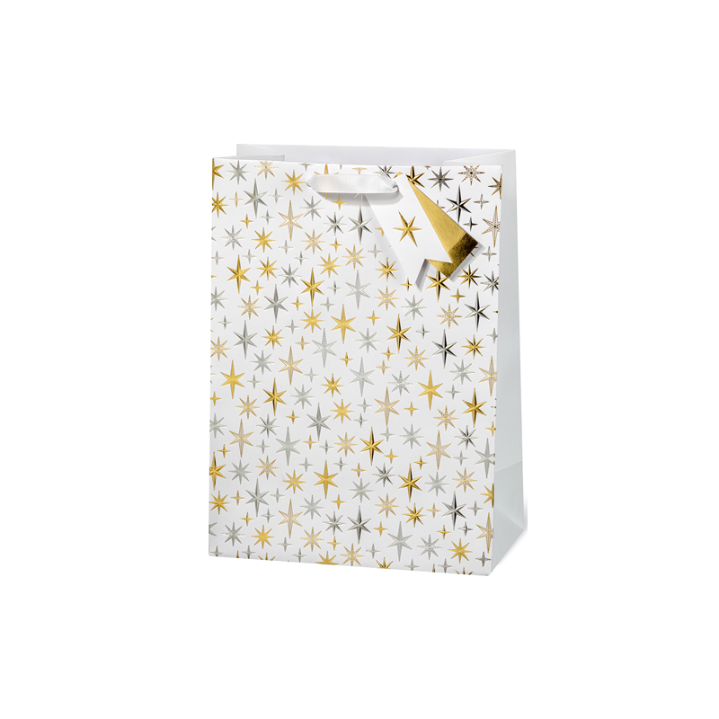 SACHET NOEL BSB 36X26X14CM ELEGANT STARS