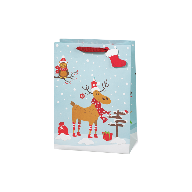 SACHET NOEL BSB 36X26X14CM RUDI