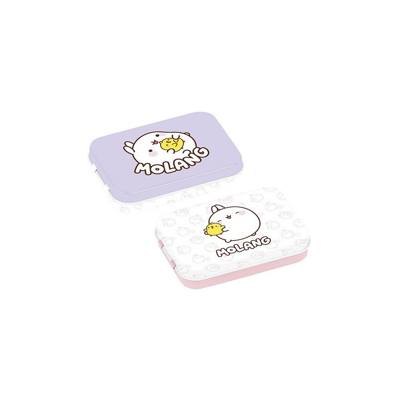 BOITE A BONS POINTS METAL MOLANG ASS.