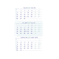 CALENDRIER BREPOLS 3 MOIS 30X60CM