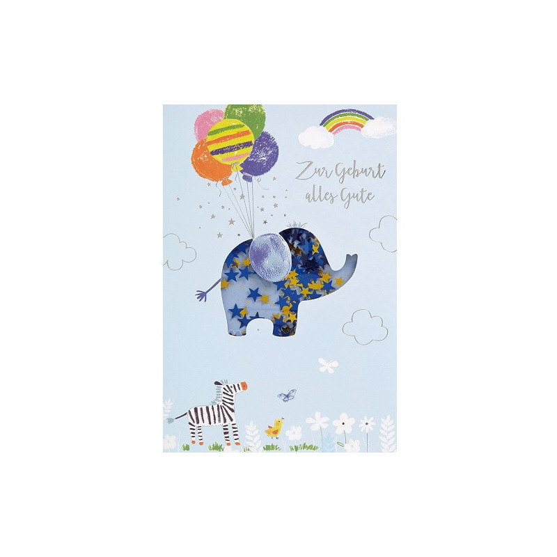 CARTE VOEUX BSB NAISSANCE