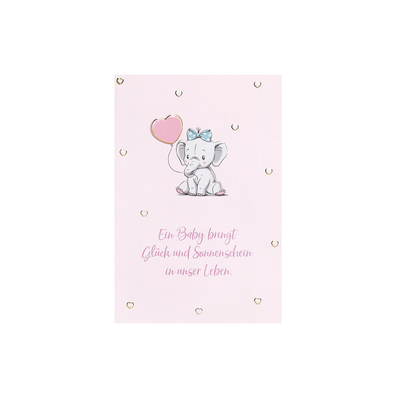 CARTE VOEUX BSB NATURE CARD NAISSANCE