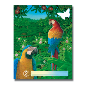 CAHIER AURORA PIQ. A5 36FLS FOR. VIERGE NR.2