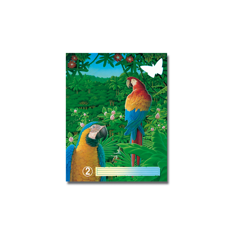 CAHIER AURORA PIQ. A5 36FLS FOR. VIERGE NR.2
