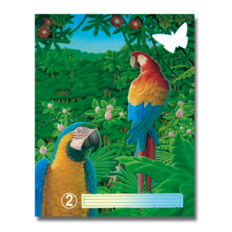 CAHIER AURORA PIQ. A5 36FLS FOR. VIERGE NR.2