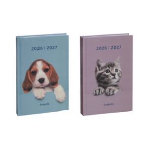 AGENDA SCOLAIRE BREPOLS 11,5X16,9CM 1J./P. AMICI