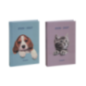 AGENDA SCOLAIRE BREPOLS 11,5X16,9CM 1J./P. AMICI