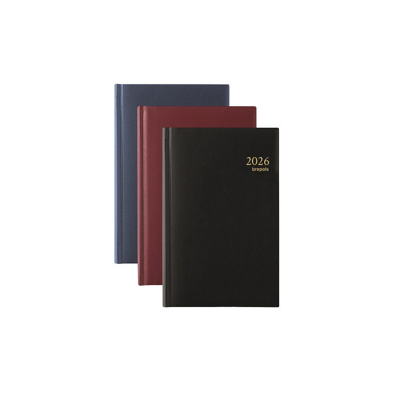 AGENDA BREPOLS 13,3X20,8CM 1J./P. SATURNUS LUXE ASS.