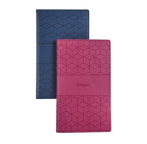 AGENDA BREPOLS 9X16CM 1SEM./2P. INTERPLAN SPIR. CUBE ASS.