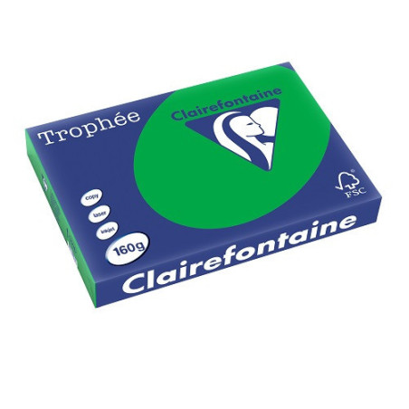 PAPIER REPRO CLAIREF. TROPHEE A3 160G VERT BILLARD 250FLS