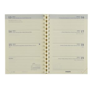 RECHARGE AGENDA BREPOLS DELTA SPIR.