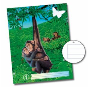 CAHIER AURORA PIQ. A5 36FLS FOR. VIERGE NR.1