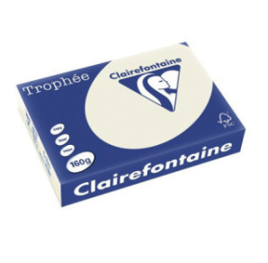 PAPIER REPRO CLAIREF. TROPHEE A4 160G GRIS PERLE 250FLS