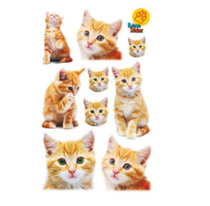 AUTOCOLLANT BSB DECO-STICKER CHATONS