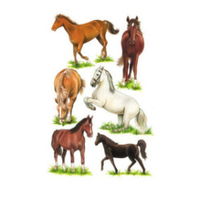 AUTOCOLLANT BSB DECO-STICKER CHEVAUX