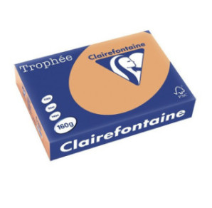 PAPIER REPRO CLAIREF. TROPHEE A4 160G CARAMEL 250FLS
