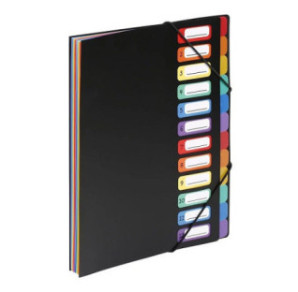 TRIEUR VIQUEL 12 COMP. NOIR