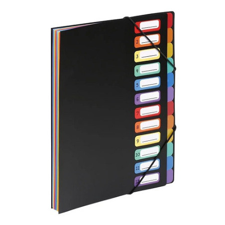 TRIEUR VIQUEL 12 COMP. NOIR