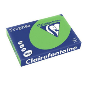 PAPIER REPRO CLAIREF. TROPHEE A4 120G VERT MENTHE 250FLS