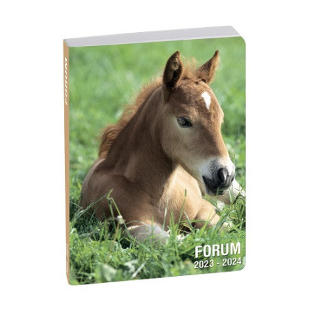 AGENDA SCOLAIRE EXACOMPTA ANIMAUX