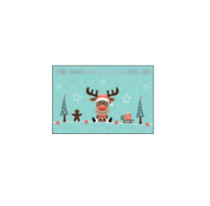 CARTE VOEUX NOEL BSB