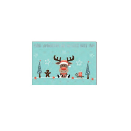 CARTE VOEUX NOEL BSB