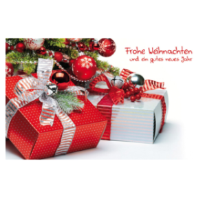 CARTE VOEUX NOEL BSB