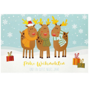 CARTE VOEUX NOEL BSB