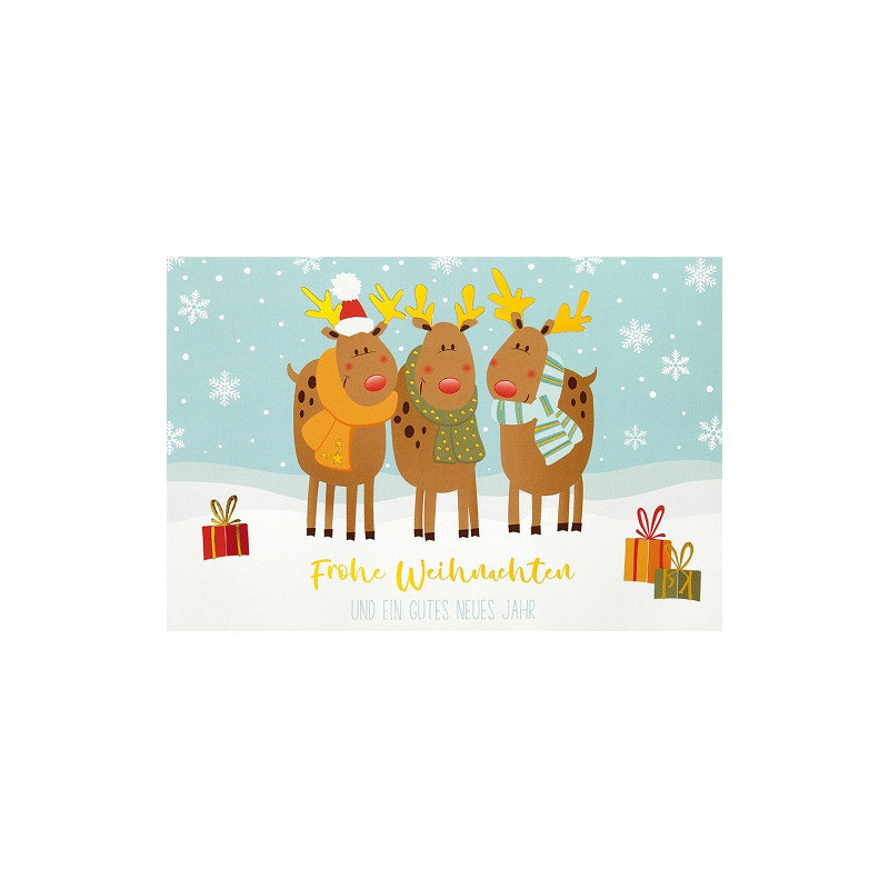 CARTE VOEUX NOEL BSB